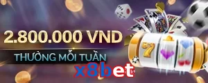 x8bet